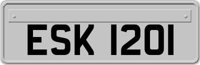 ESK1201