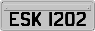 ESK1202