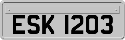 ESK1203