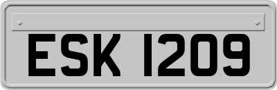 ESK1209