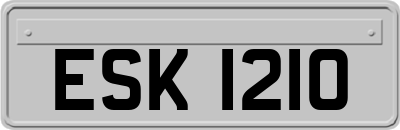 ESK1210