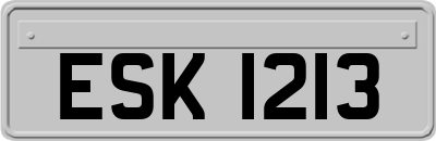 ESK1213