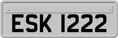 ESK1222
