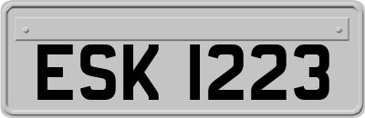 ESK1223