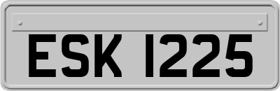 ESK1225