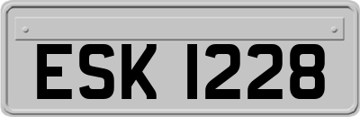 ESK1228