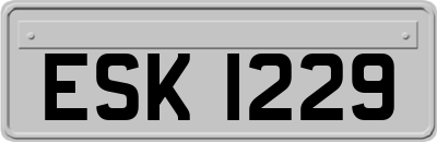 ESK1229