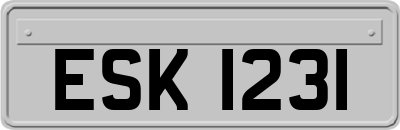 ESK1231