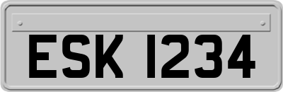ESK1234