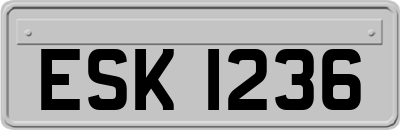 ESK1236