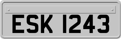 ESK1243