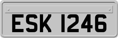 ESK1246