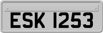 ESK1253