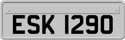 ESK1290