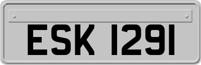 ESK1291