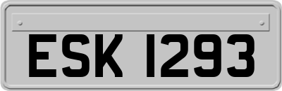 ESK1293