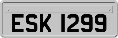 ESK1299