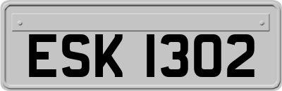 ESK1302