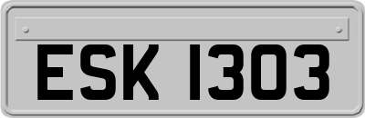 ESK1303