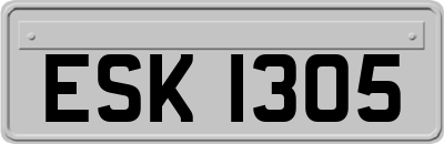 ESK1305