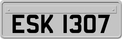 ESK1307