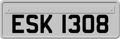 ESK1308