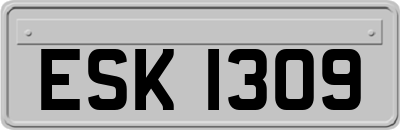 ESK1309