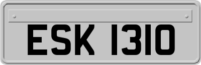 ESK1310