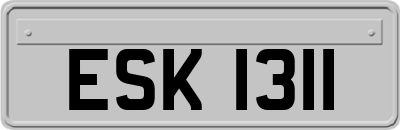 ESK1311