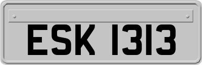 ESK1313