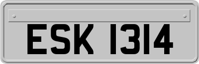 ESK1314
