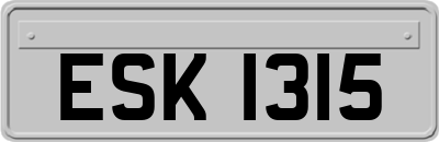 ESK1315