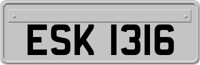 ESK1316