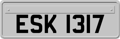 ESK1317