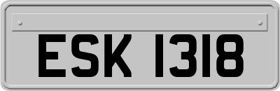 ESK1318