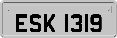 ESK1319