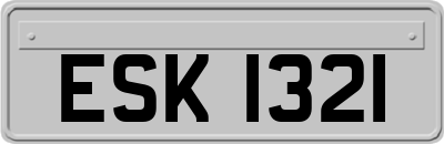 ESK1321