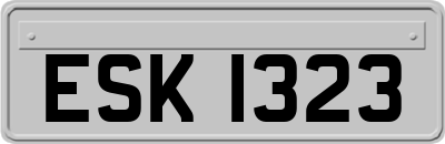 ESK1323