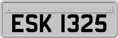 ESK1325