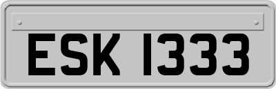 ESK1333