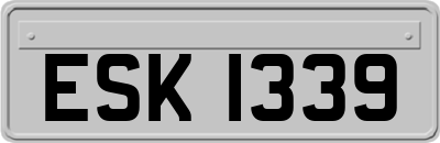 ESK1339