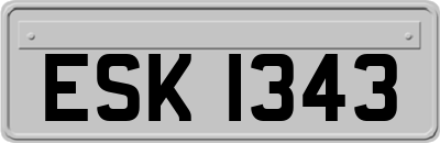 ESK1343