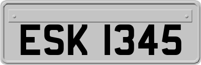ESK1345