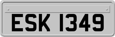 ESK1349