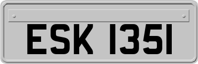 ESK1351