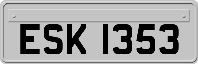 ESK1353