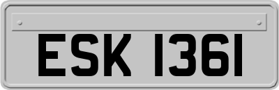 ESK1361