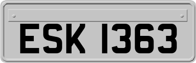 ESK1363