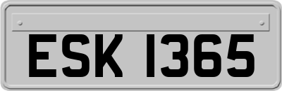 ESK1365