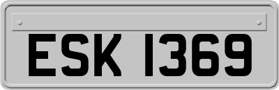 ESK1369